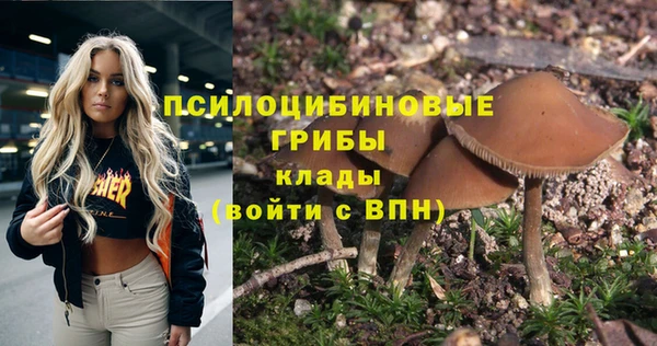 дмт Алзамай
