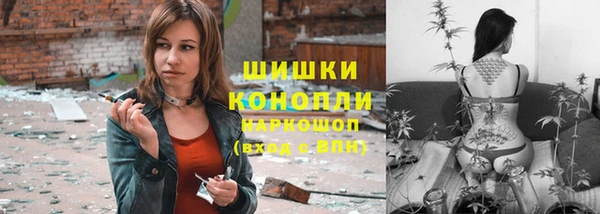дмт Алзамай